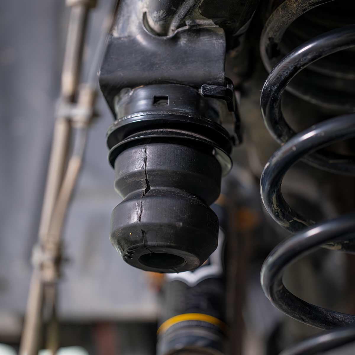 Active Off-Road Bumpstops for Jeep Gladiator - Rear Kit - Image 6